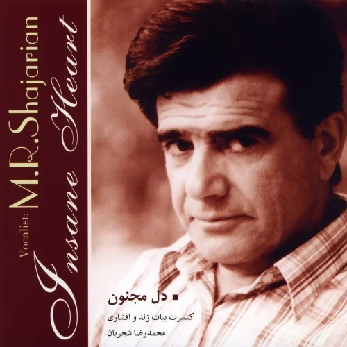 Tasnife Dele Majnoon - Mohammadreza Shajarian